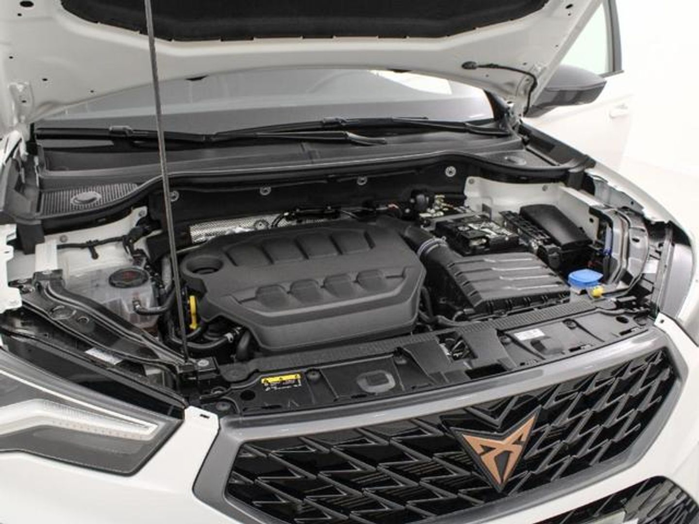 CUPRA Ateca 2.0 TSI 4Drive DSG 140 kW (190 CV)