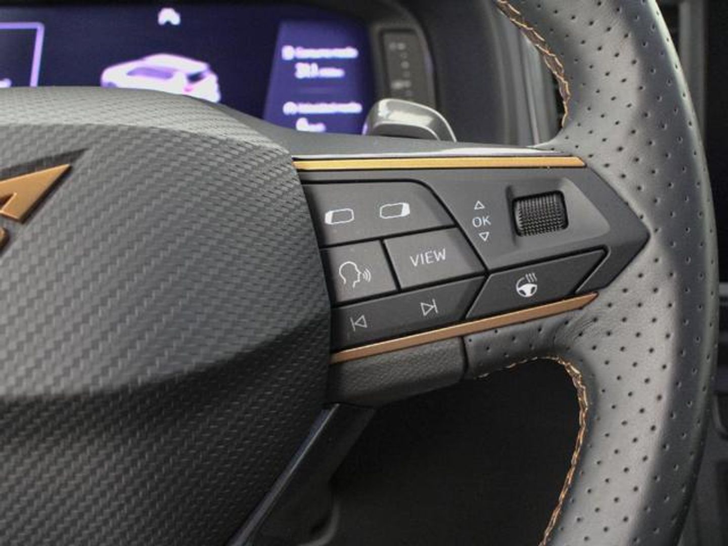 CUPRA Ateca 2.0 TSI 4Drive DSG 140 kW (190 CV)