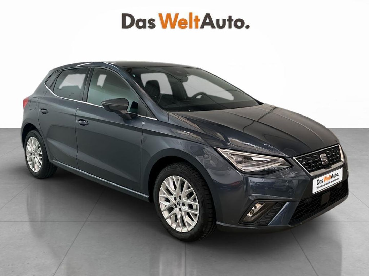 SEAT Ibiza 1.0 TSI S&S Special Edition Xcellence 85 kW (115 CV) Gris Sedan