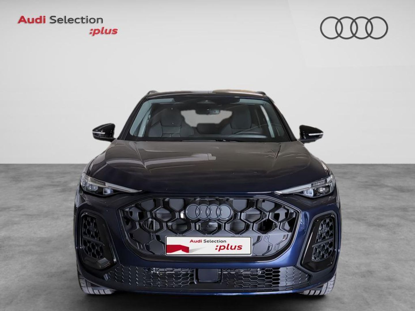 Audi Q5 S Line TDI quattro 150 kW (204 CV) S tronic