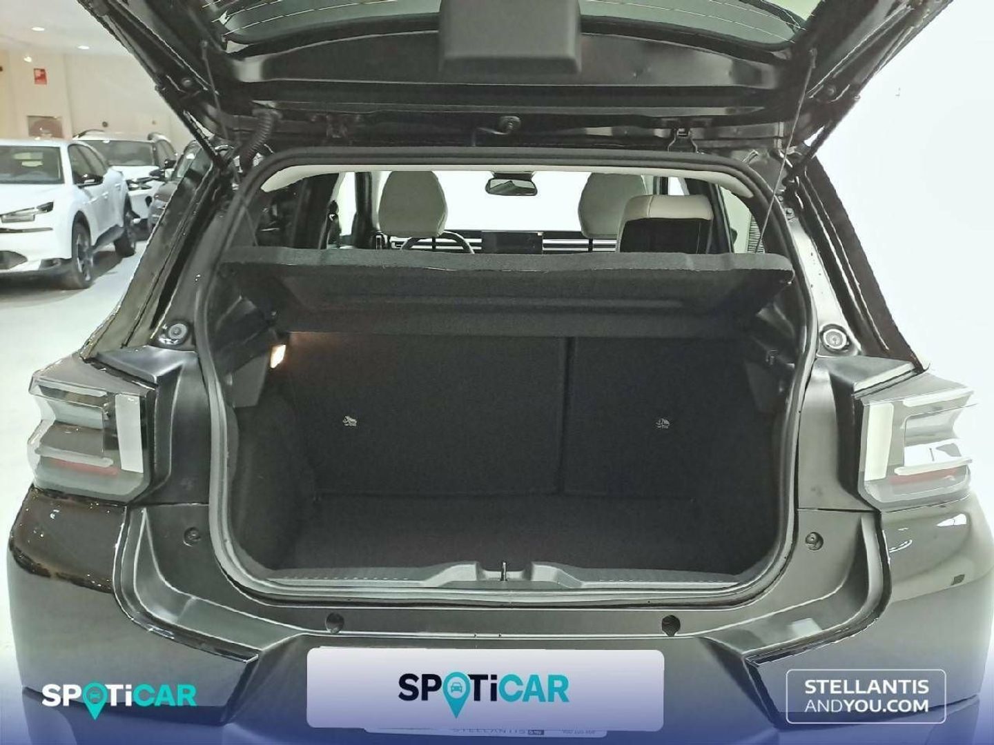 Citroen C3 1.2 Turbo Max 74 kW (100 CV)