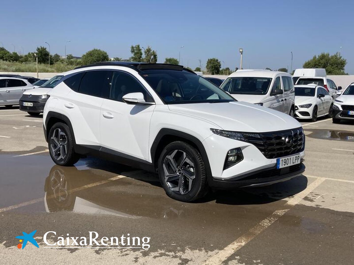 Hyundai Tucson 1.6 TGDI PHEV Tecno Sky 4x4 Auto 195 kW (265 CV)