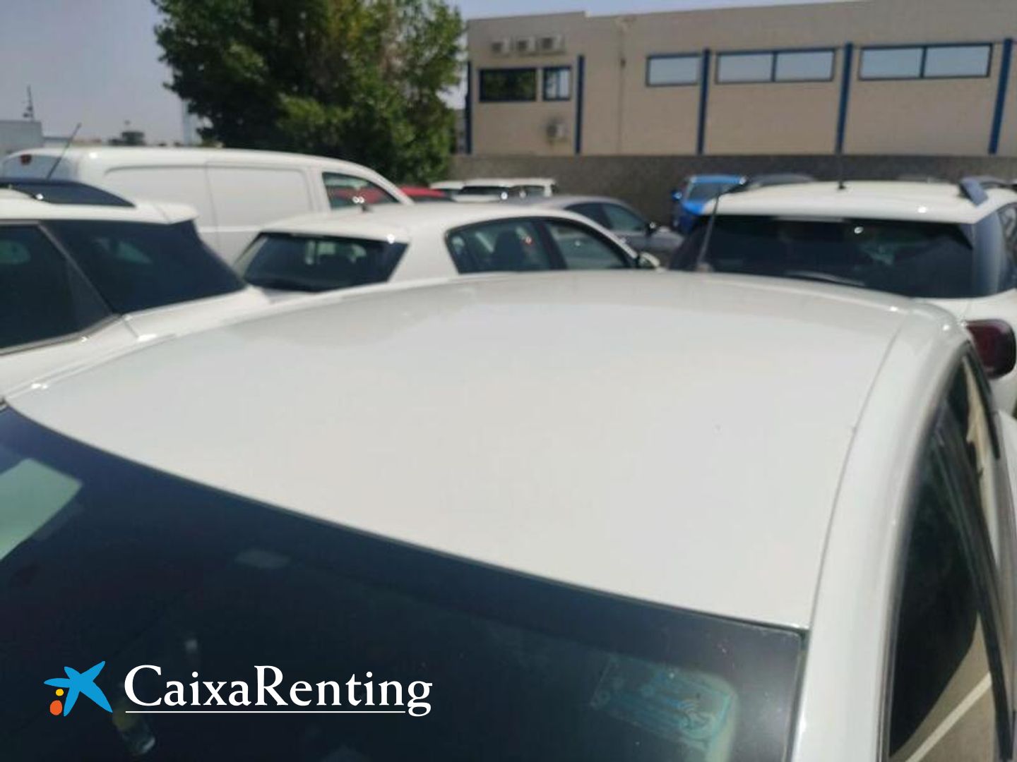 Renault Clio Intens TCe 74 kW (100 CV) GLP