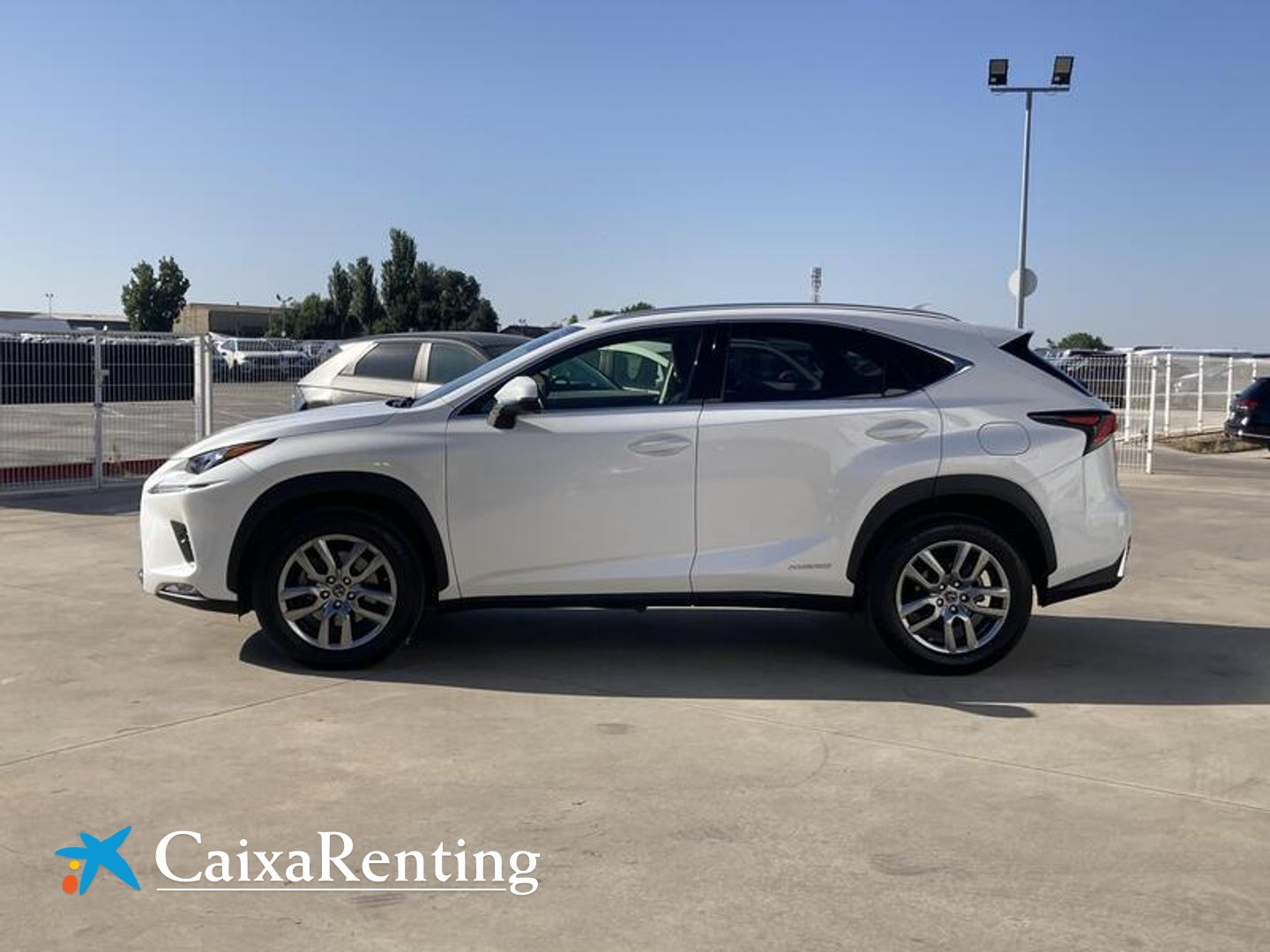 Lexus NX 300h Executive 4WD 145 kW (197 CV)