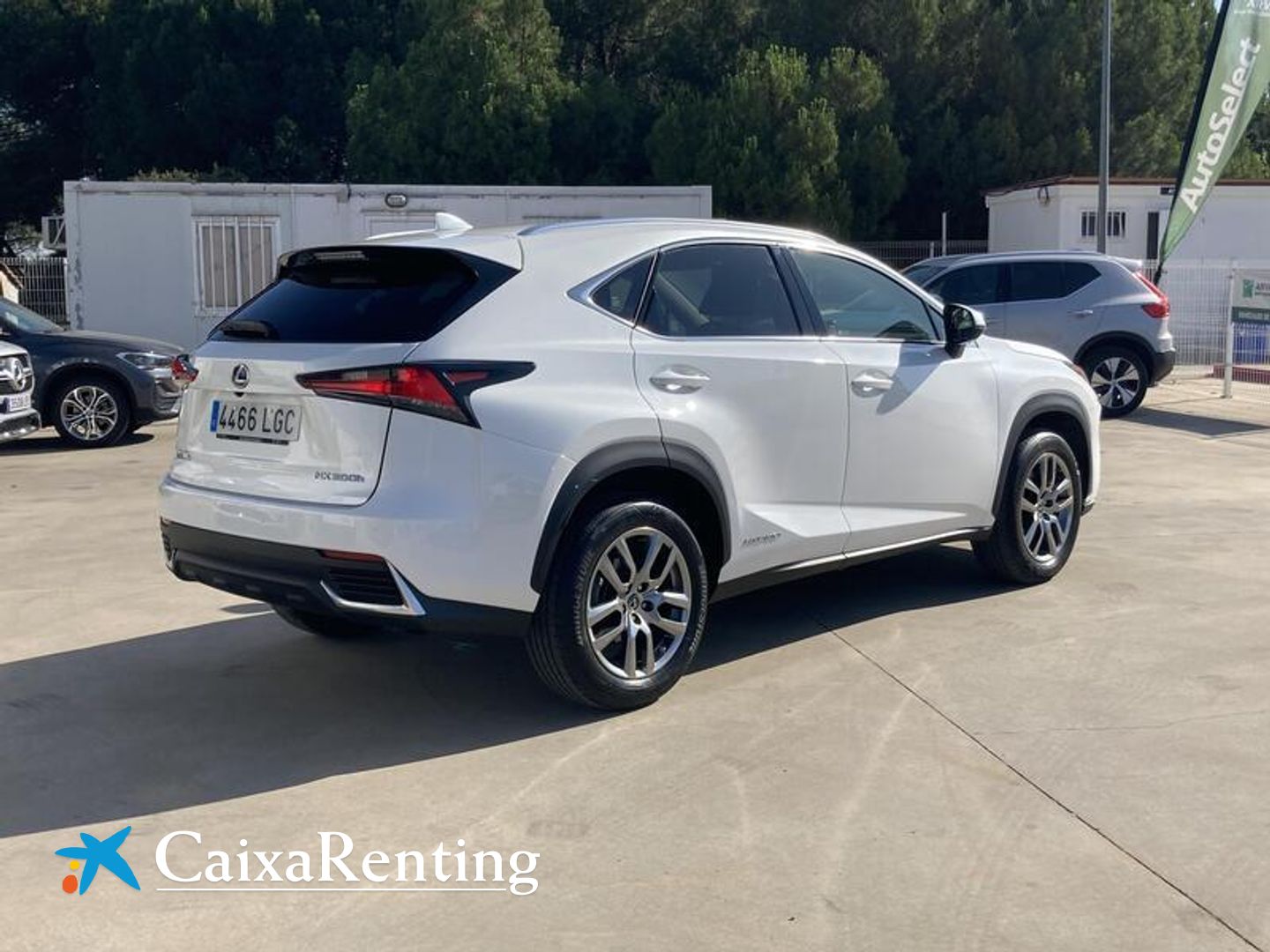 Lexus NX 300h Executive 4WD 145 kW (197 CV)
