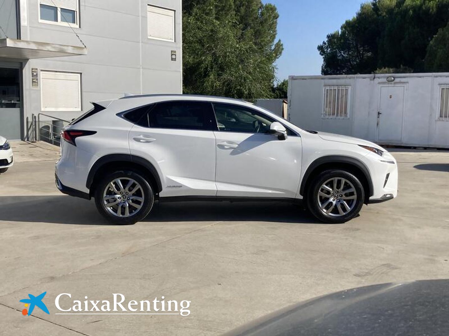 Lexus NX 300h Executive 4WD 145 kW (197 CV)