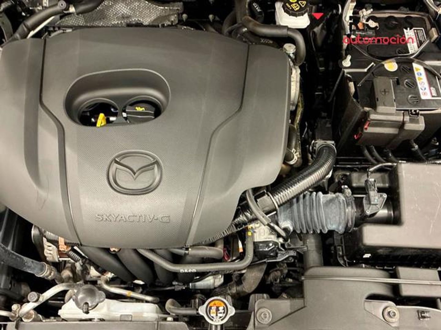 Mazda Mazda 2 1.5 G e-SKYACTIV Homura 66 kW (90 CV)