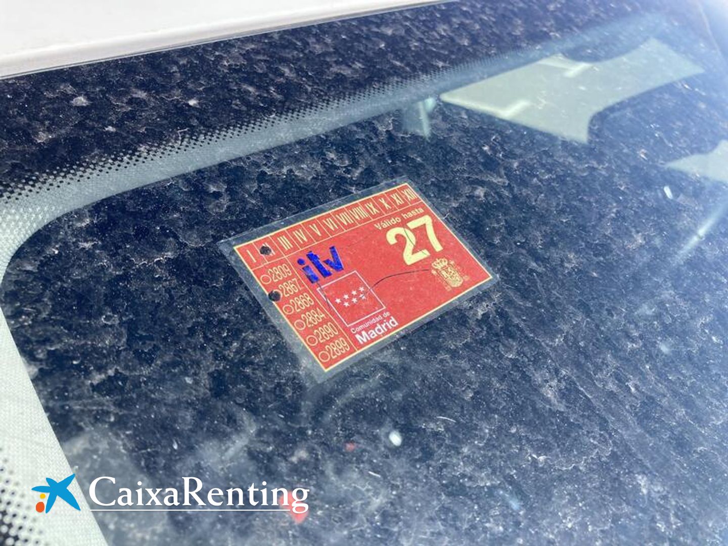 Volkswagen Polo United 1.0 TSI 70 kW (95 CV) DSG