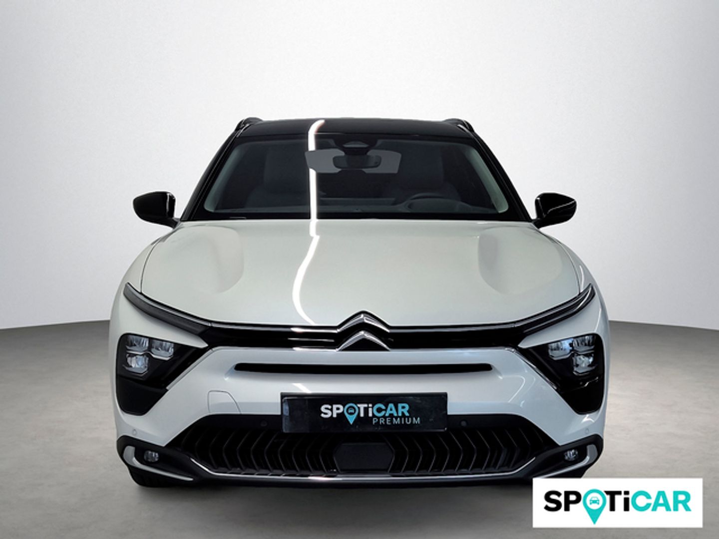 Citroen C5 X PureTech 130 S&S Plus EAT8 96 kW (130 CV)