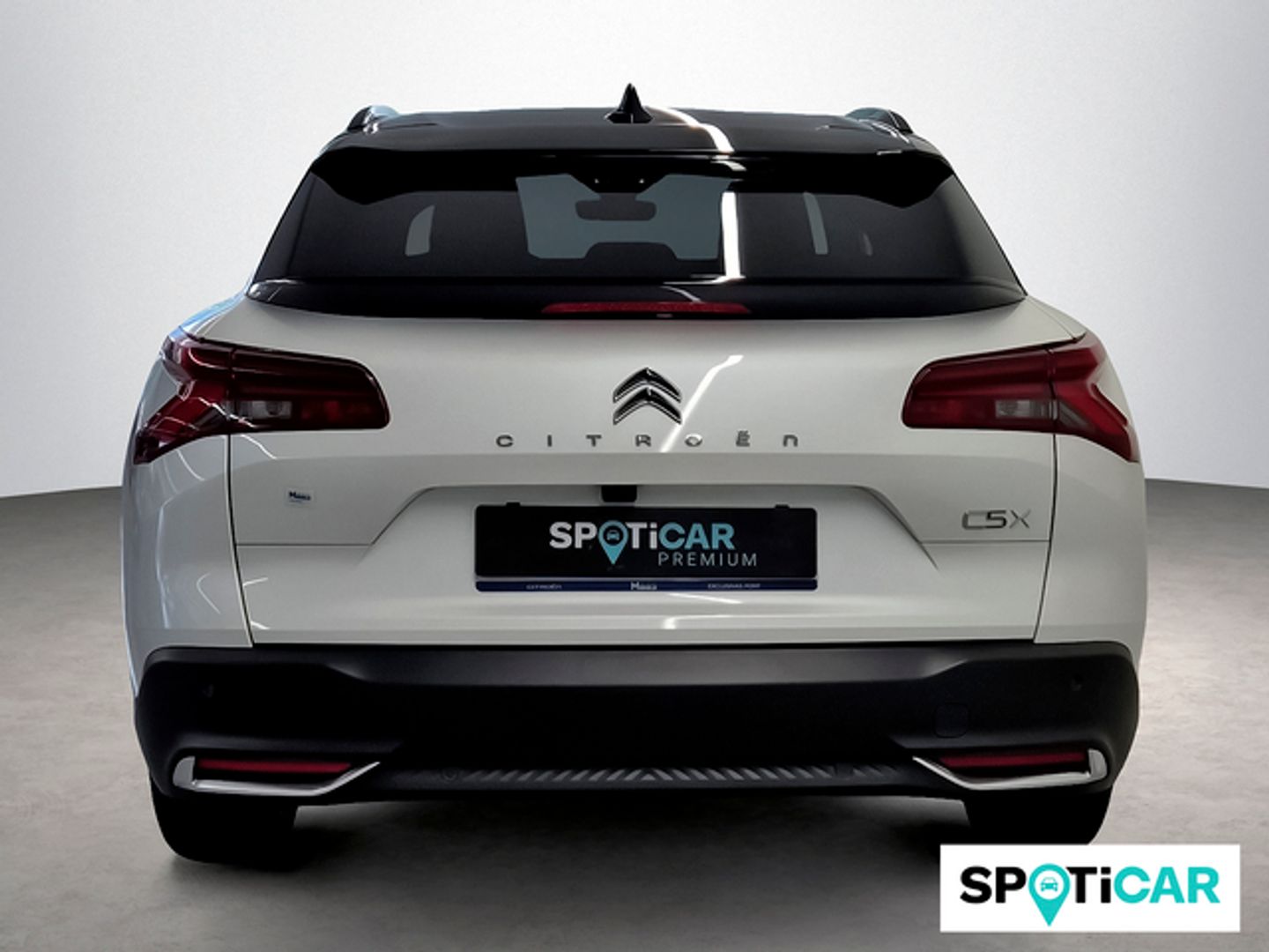 Citroen C5 X PureTech 130 S&S Plus EAT8 96 kW (130 CV)