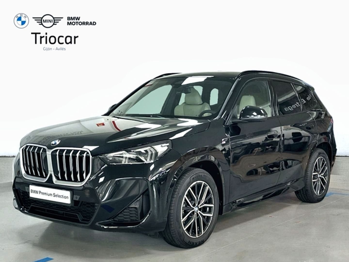 BMW X1 sDrive20d 120 kW (163 CV) Negro SUV