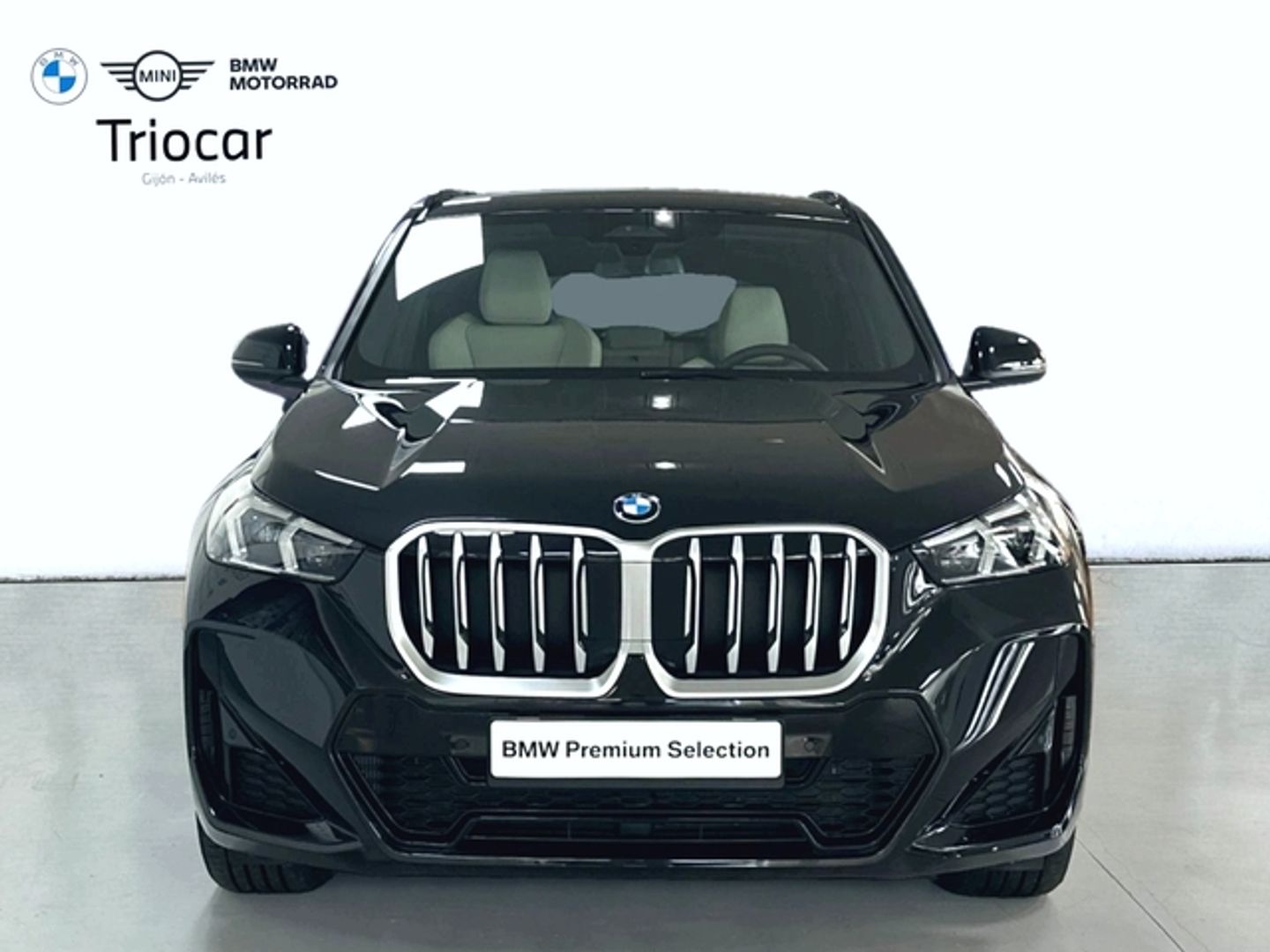 BMW X1 sDrive20d 120 kW (163 CV)