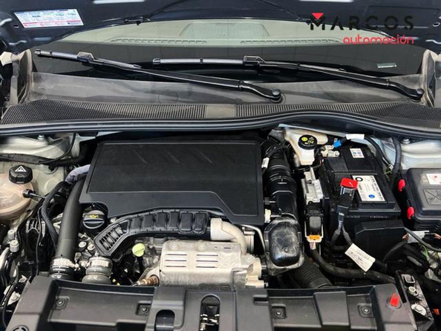 Jeep Avenger 1.2 G Altitude 74 kW (100 CV)