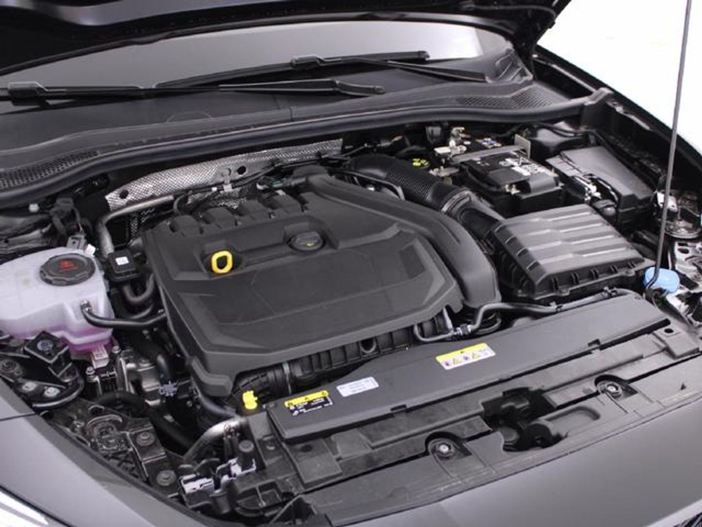 CUPRA León 1.5 eTSI DSG 110 kW (150 CV)