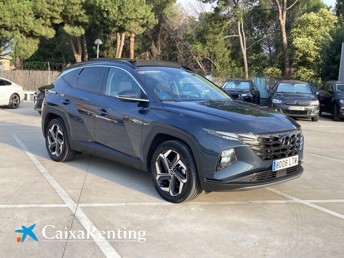 Hyundai Tucson 1.6 TGDI PHEV Tecno Sky 4x4 Auto 195 kW (265 CV)