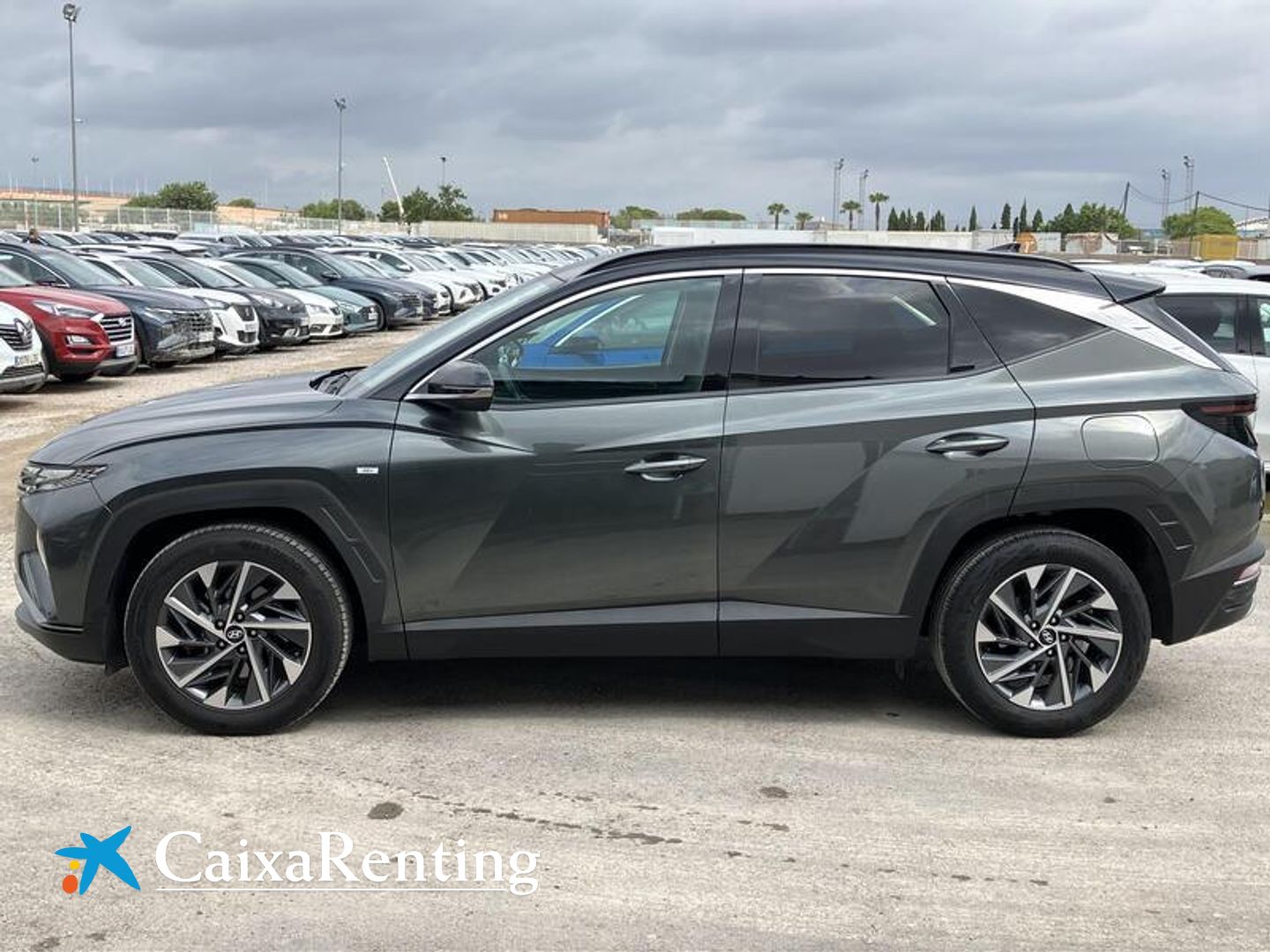 Hyundai Tucson 1.6 TGDI 48V Tecno 2C DCT 110 kW (150 CV)