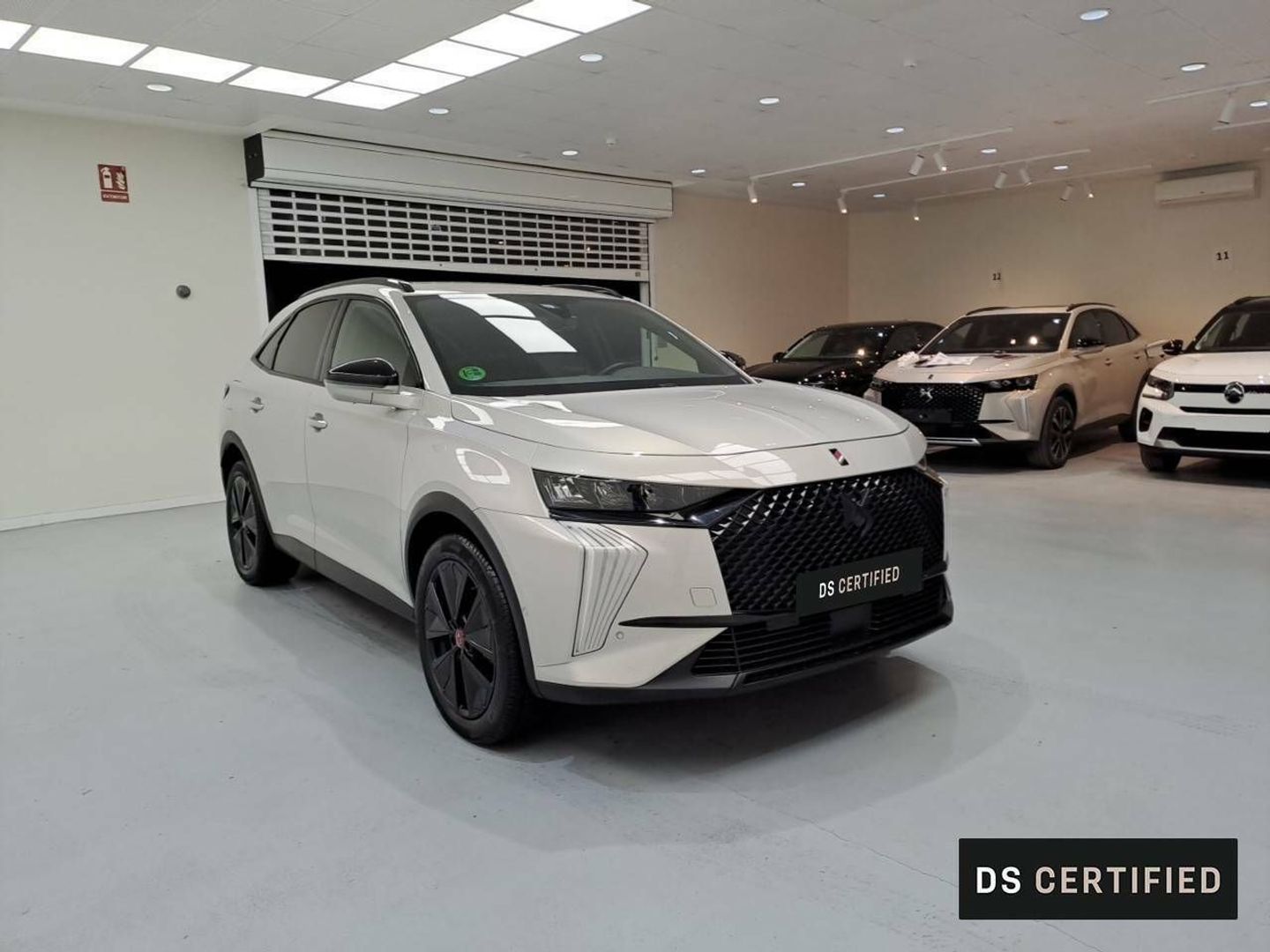 DS DS7 Crossback BlueHDi 130 Performance Line Auto 96 kW (130 CV)