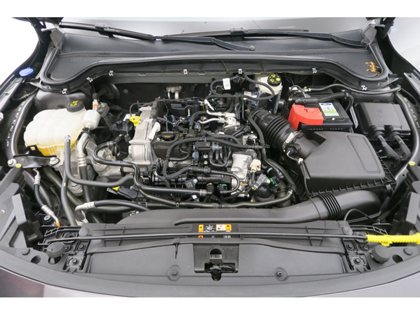 Ford Focus 1.0 Ecoboost MHEV ST-Line 92 kW (125 CV)