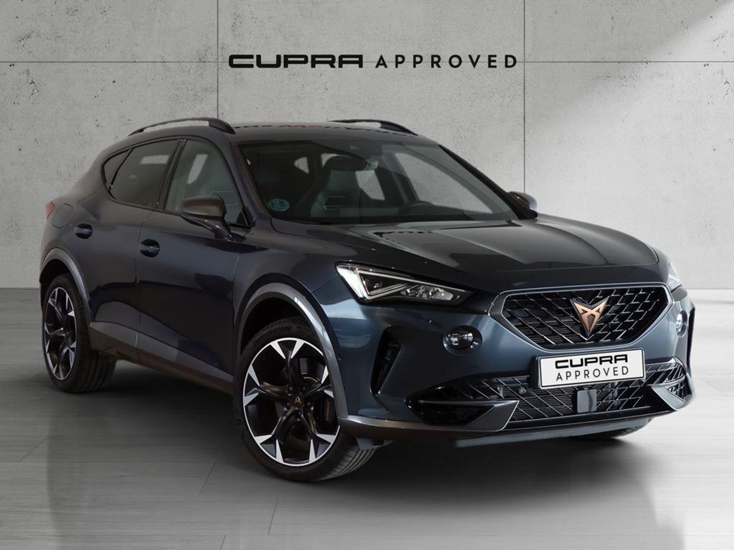 CUPRA Formentor 2.0 TSI VZ 4Drive DSG 228 kW (310 CV) Gris All Terrain / Pick-up