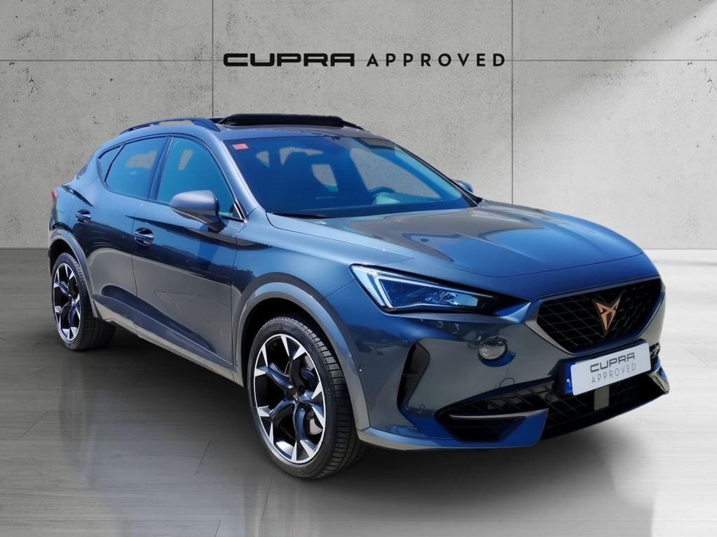 CUPRA Formentor 2.0 TSI VZ 4Drive DSG 228 kW (310 CV) Gris SUV