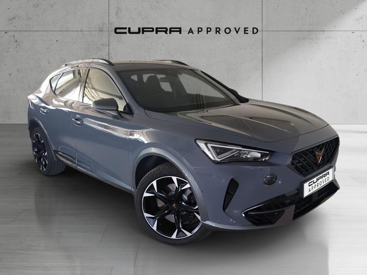 CUPRA Formentor 2.0 TSI VZ 4Drive DSG 228 kW (310 CV) Gris SUV