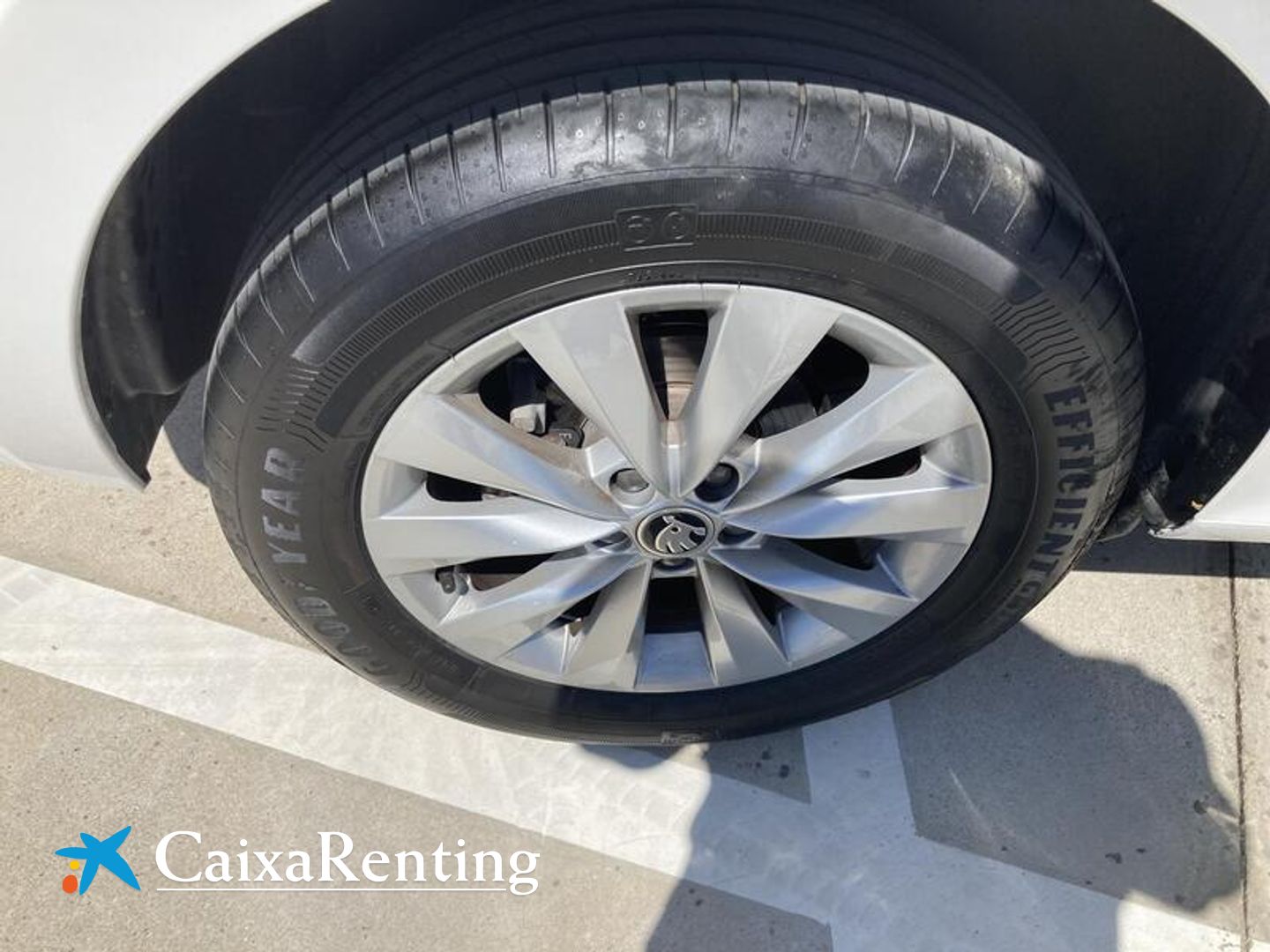 Skoda Kamiq 1.0 TSI Ambition DSG 81 kW (110 CV)