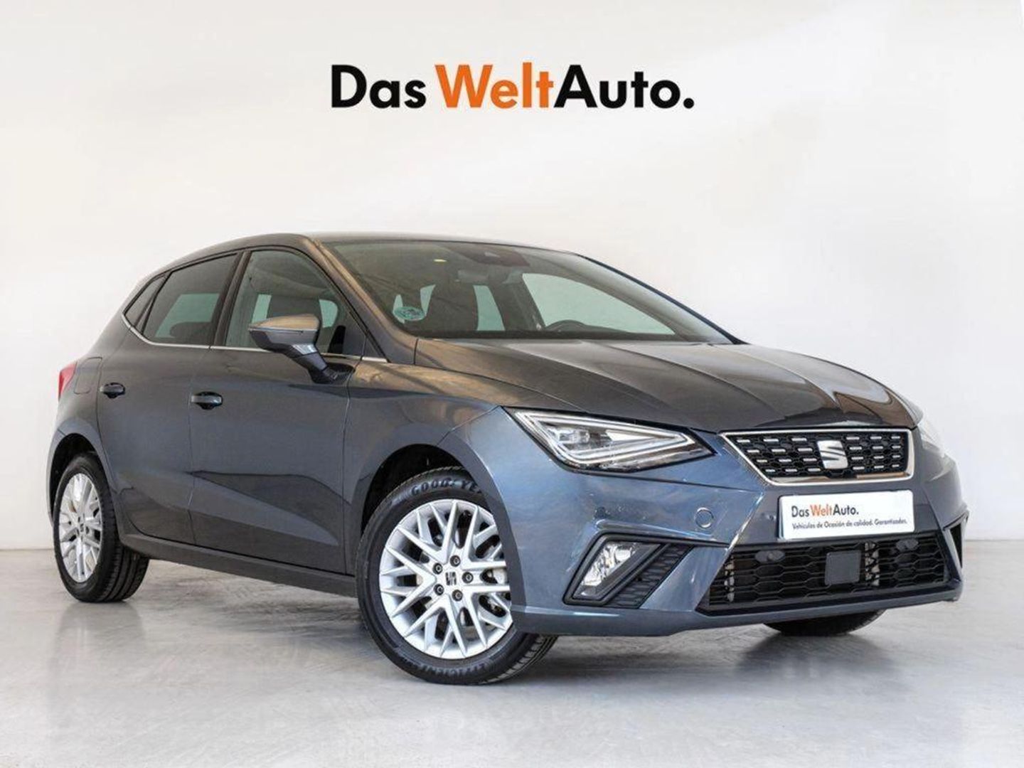 SEAT Ibiza 1.0 TSI Special Edition 85 kW (115 CV) Gris Sedan
