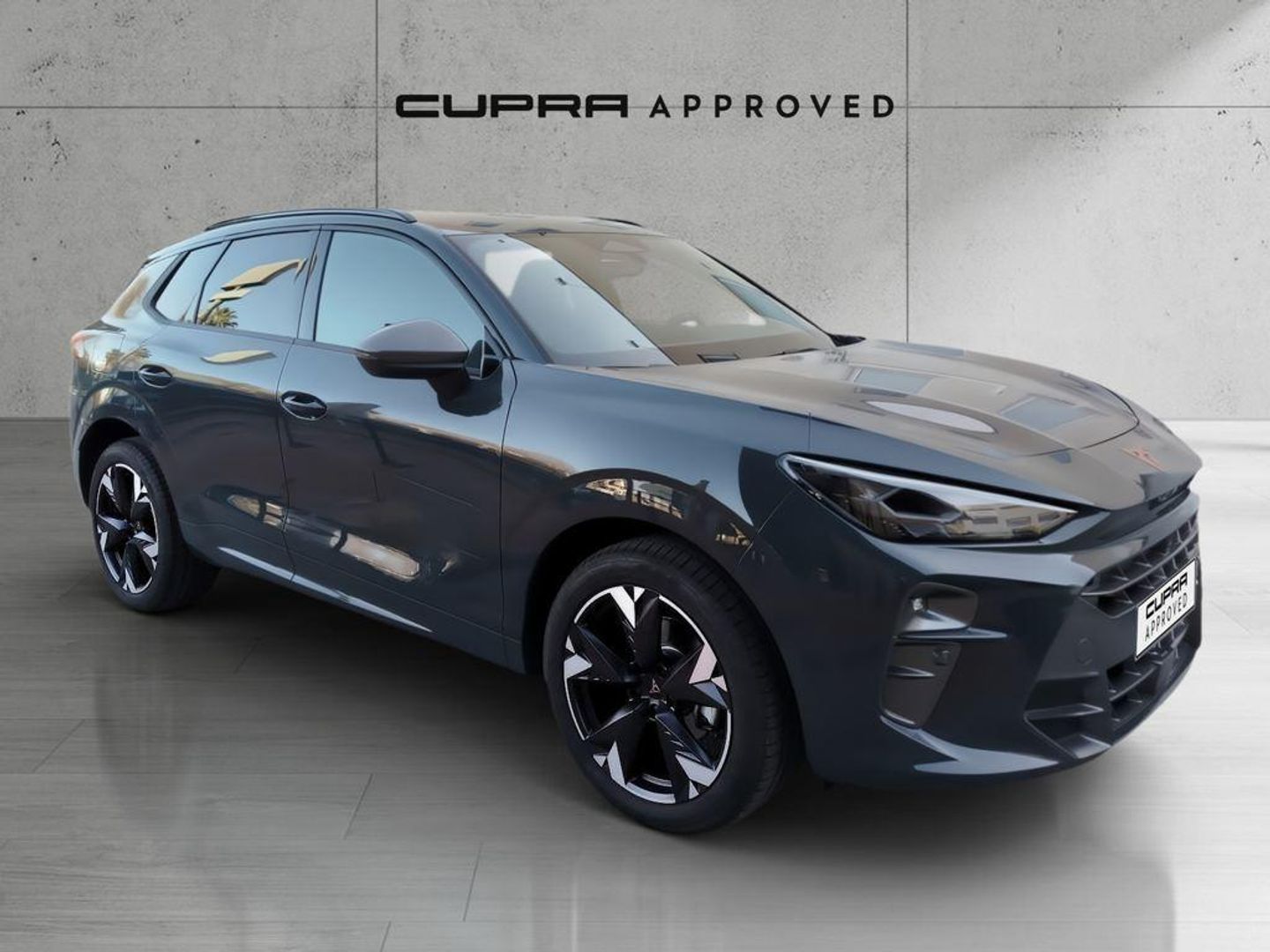 CUPRA Terramar 1.5 eTSI DSG 110 kW (150 CV) Azul SUV