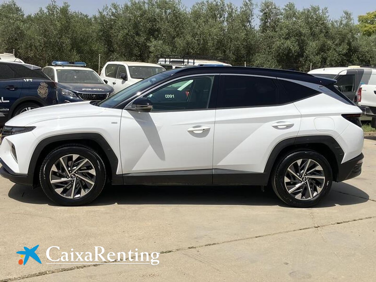 Hyundai Tucson 1.6 CRDI 48V Tecno 4X2 DCT 100 kW (136 CV)