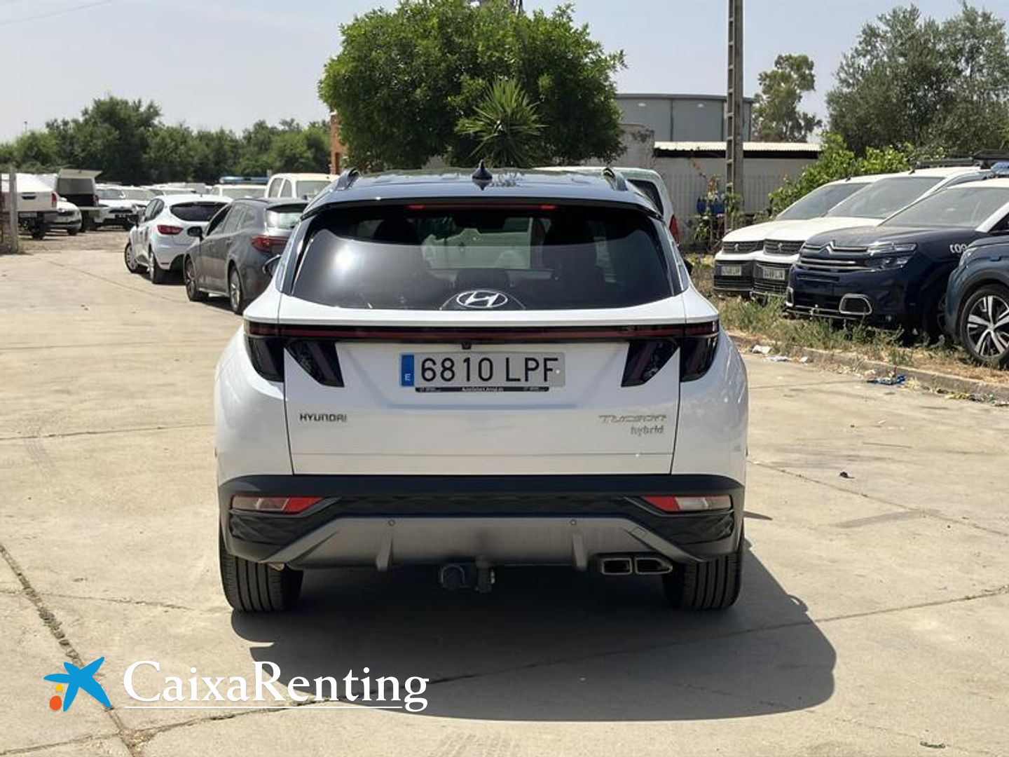 Hyundai Tucson 1.6 CRDI 48V Tecno 4X2 DCT 100 kW (136 CV)