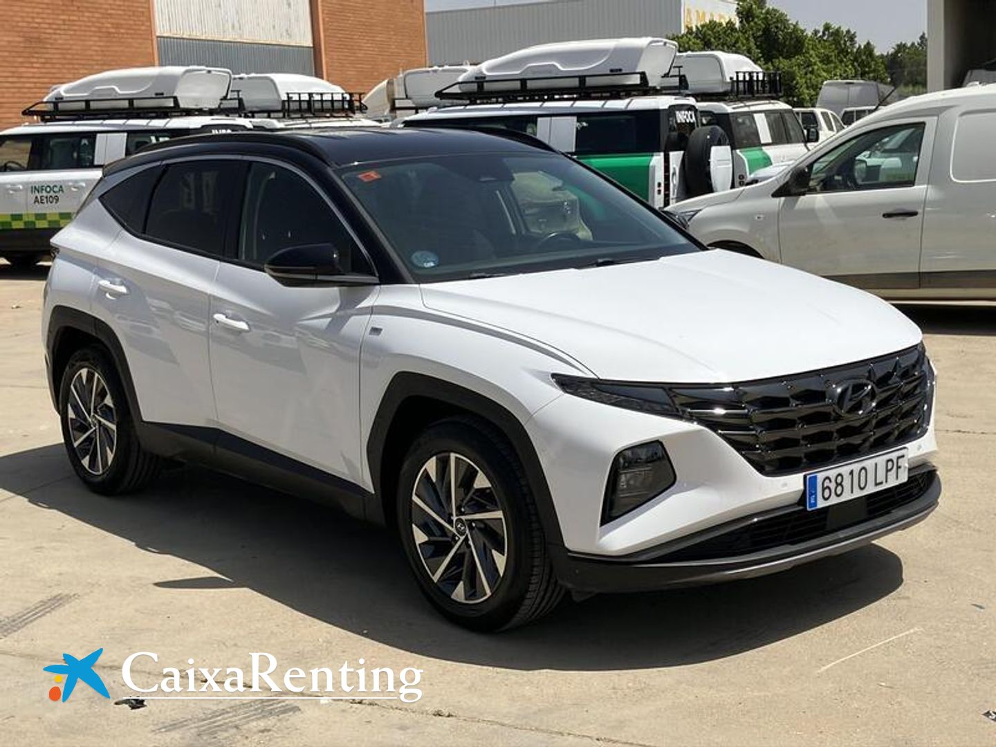 Hyundai Tucson 1.6 CRDI 48V Tecno 4X2 DCT 100 kW (136 CV)
