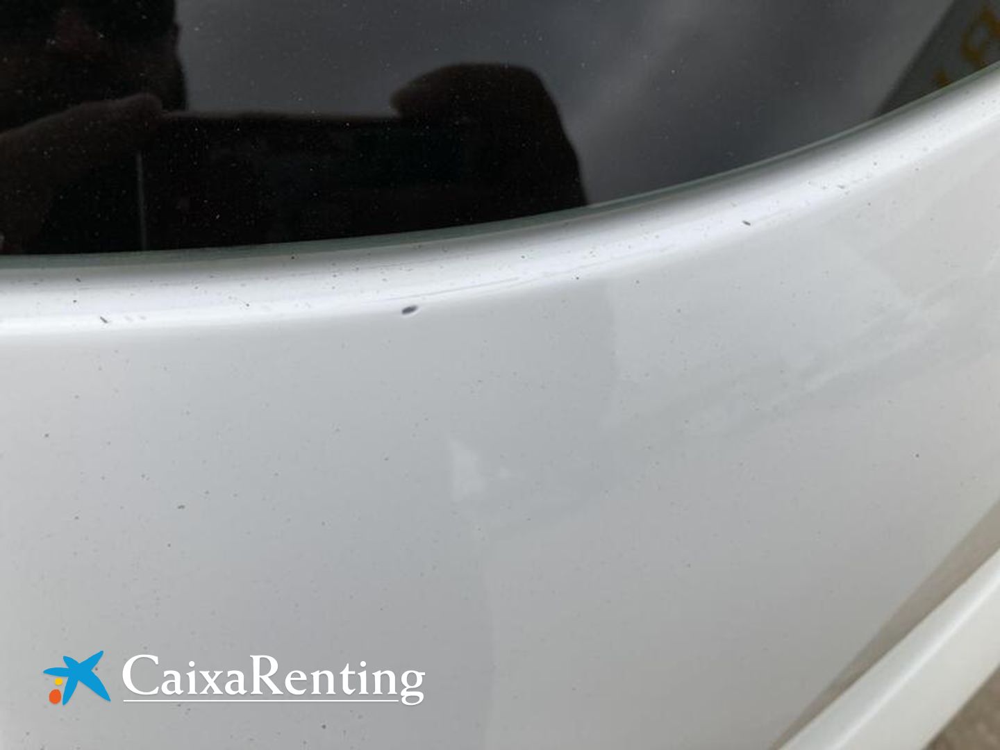 Renault Clio Intens TCe 66 kW (90 CV)