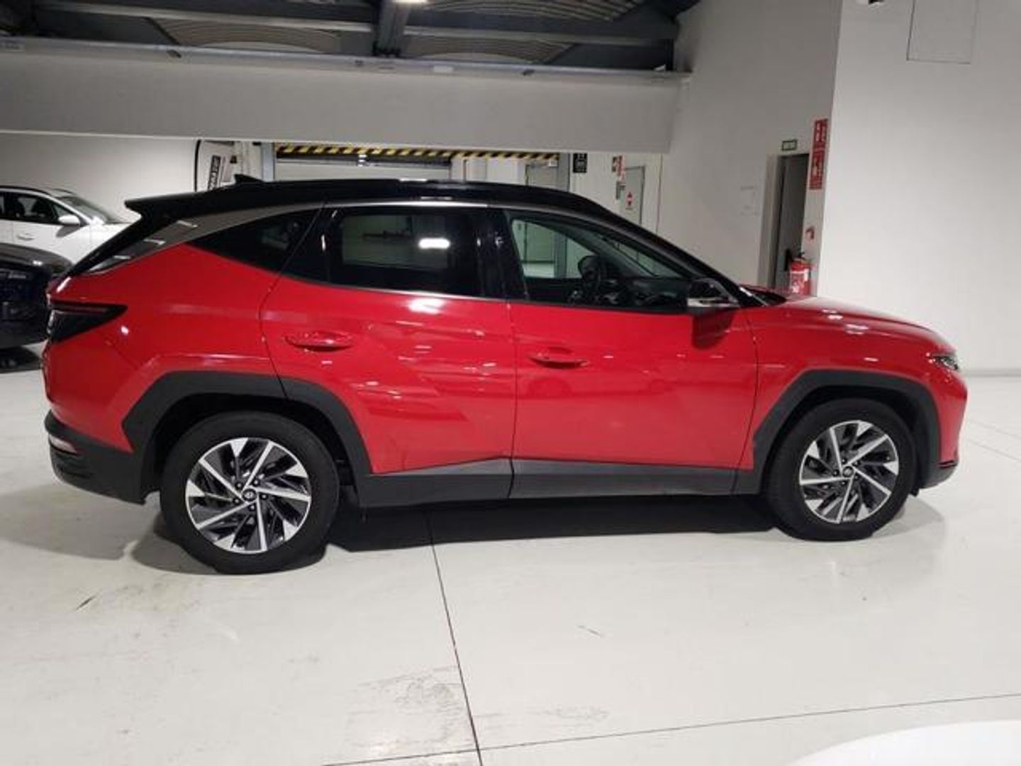 Hyundai Tucson 1.6 CRDI 48V Tecno 4X2 DCT 100 kW (136 CV)