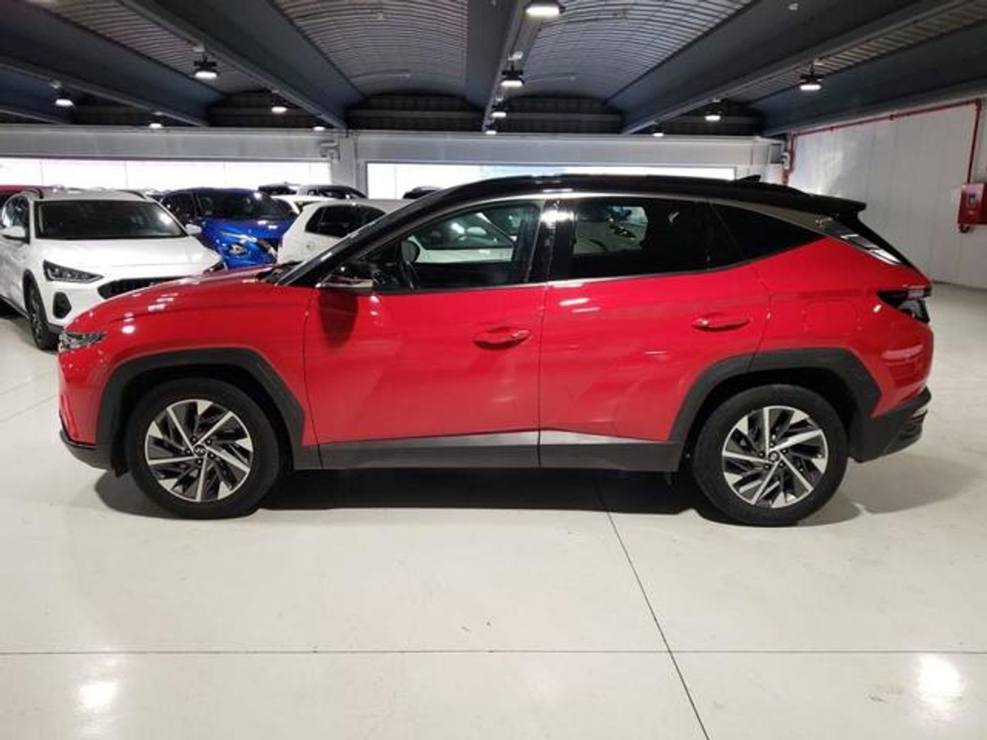 Hyundai Tucson 1.6 CRDI 48V Tecno 4X2 DCT 100 kW (136 CV)