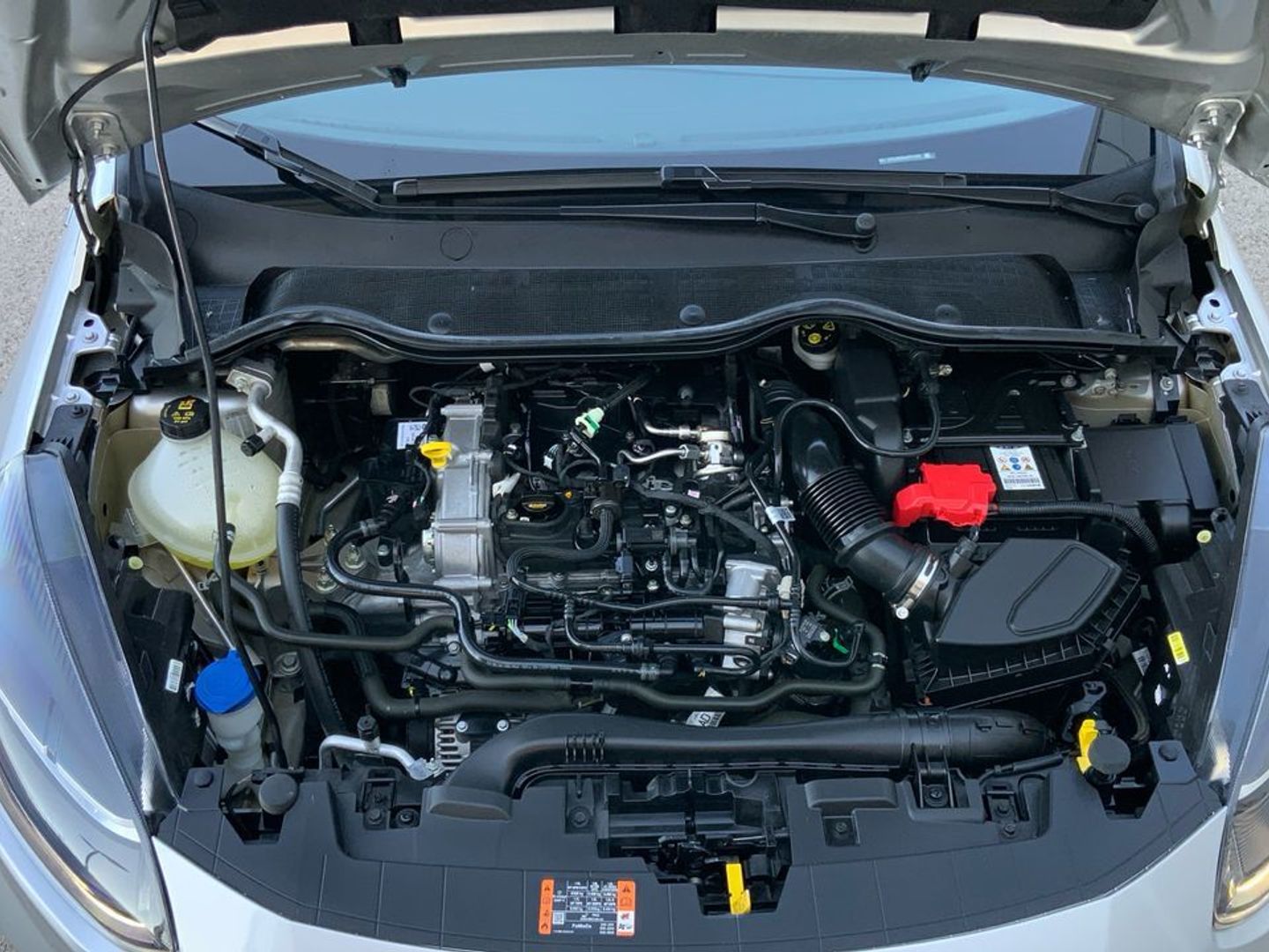 Ford Fiesta 1.0 EcoBoost MHEV ST-Line 92 kW (125 CV)