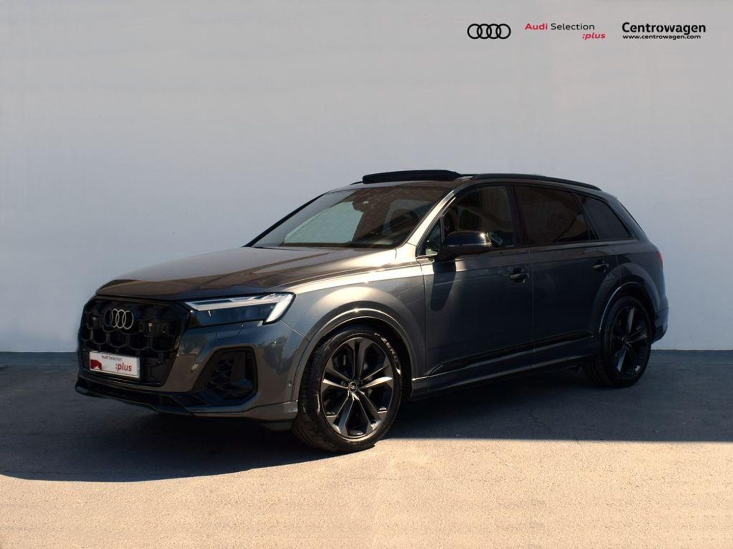 Audi Q7 Black line 50 TDI quattro 210 kW (286 CV) tiptronic Gris All Terrain / Pick-up