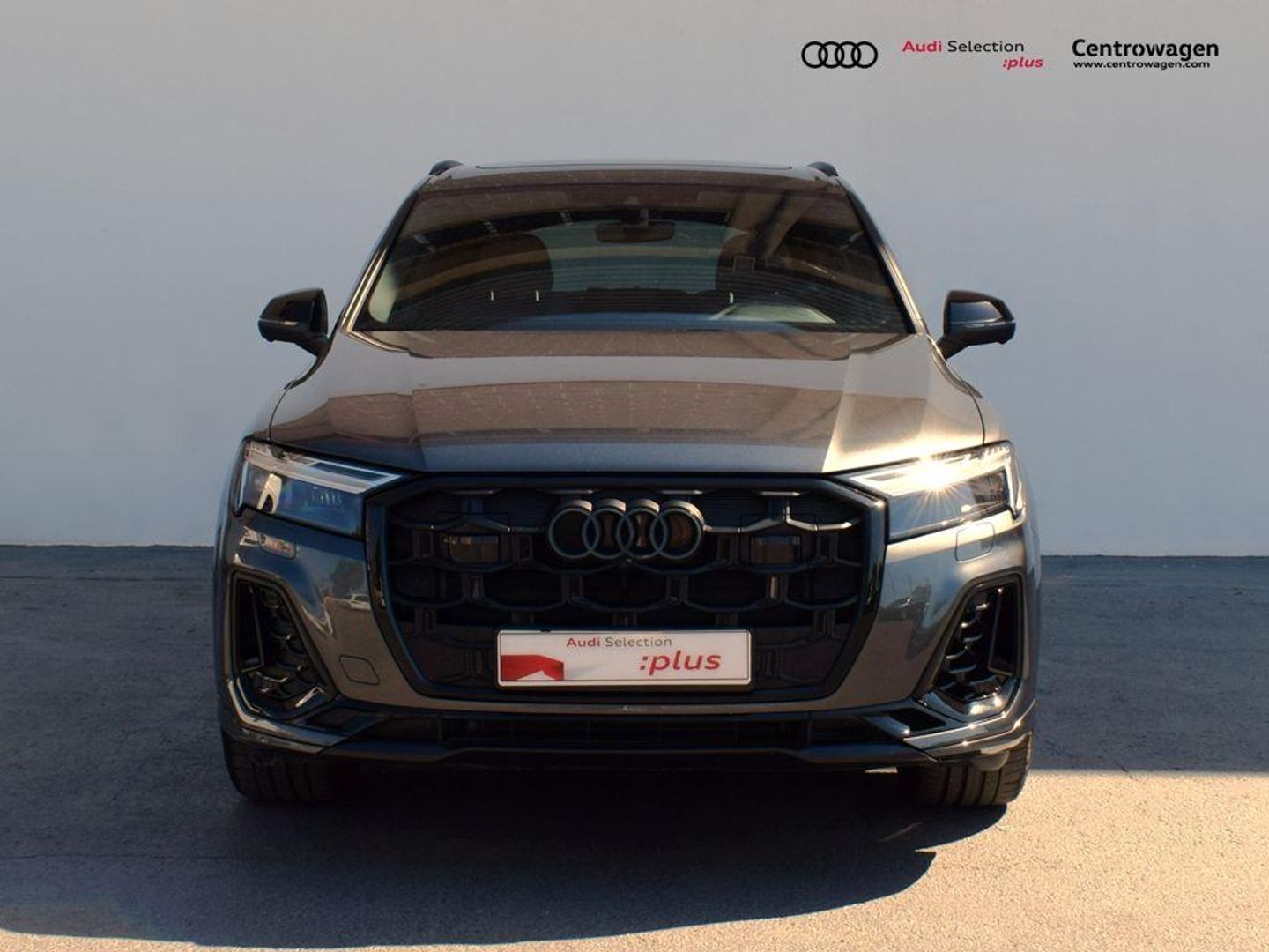 Audi Q7 Black line 50 TDI quattro 210 kW (286 CV) tiptronic