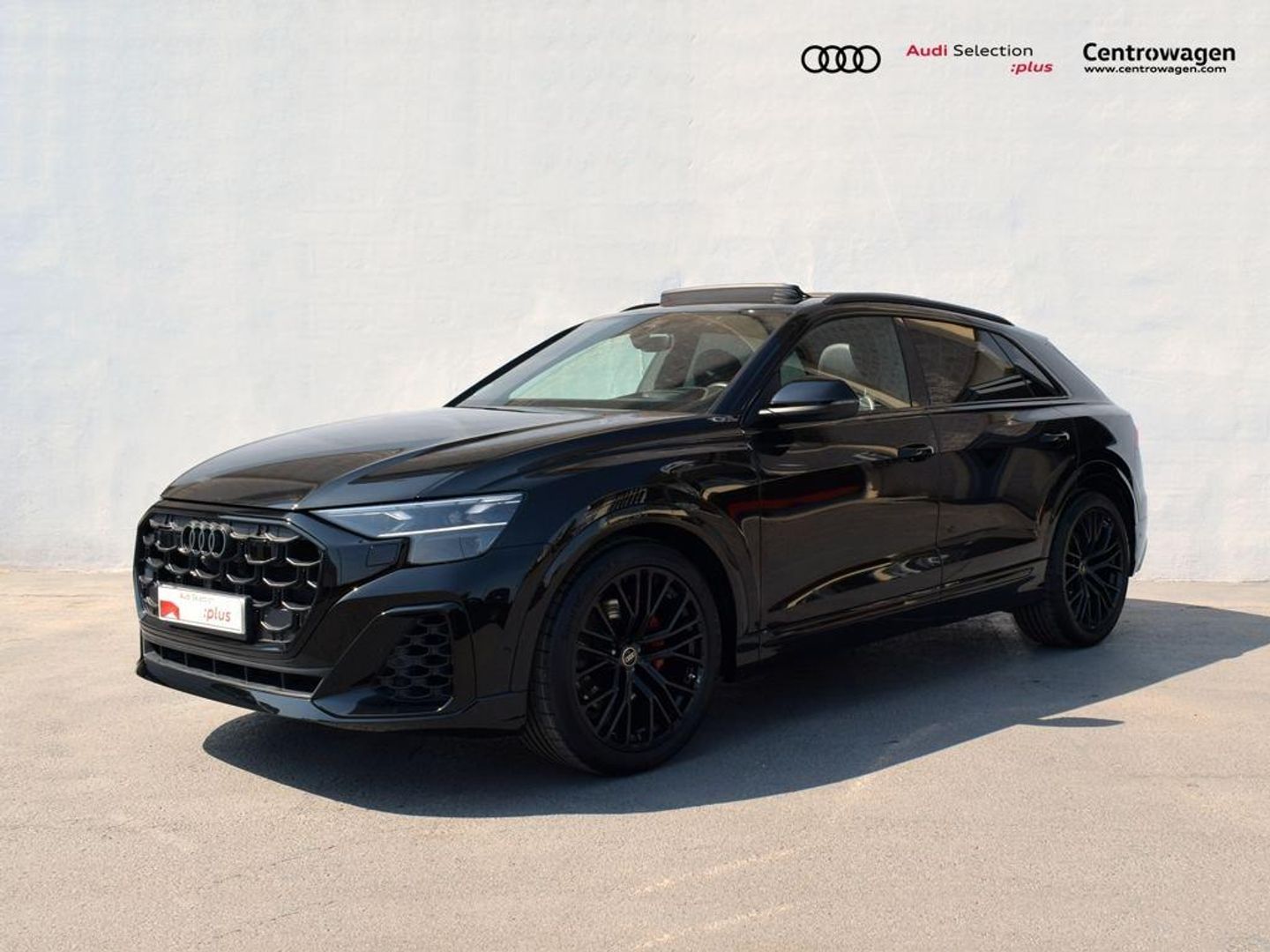 Audi Q8 Black line 50 TDI quattro 210 kW (286 CV) tiptronic Negro All Terrain / Pick-up