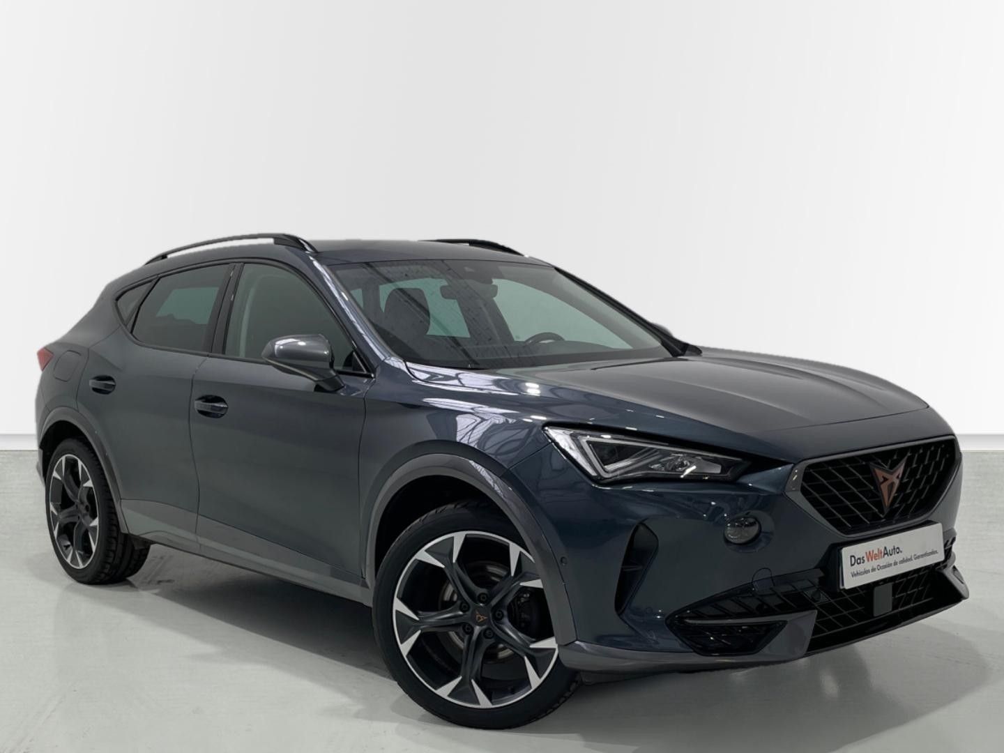 CUPRA Formentor 1.5 TSI DSG 110 kW (150 CV) Gris SUV