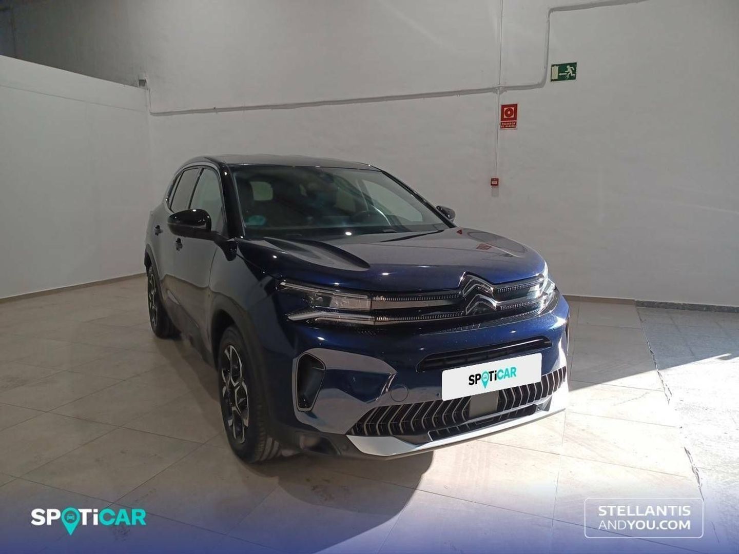 Citroen C5 Aircross BlueHDi 130 S&S Plus EAT8 96 kW (131 CV)