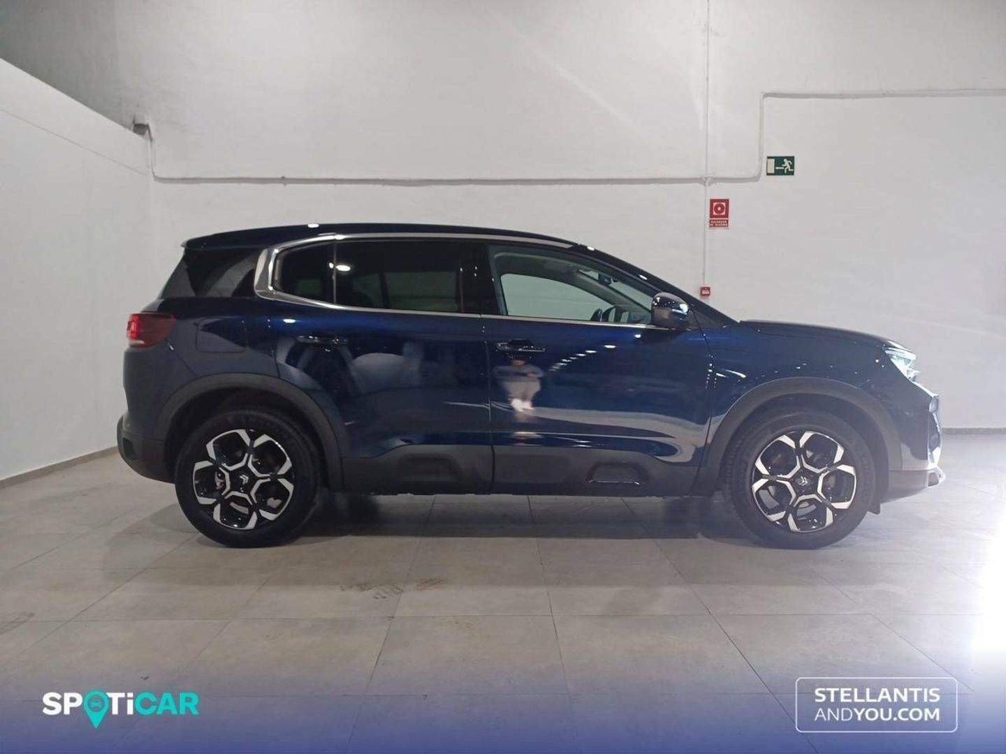Citroen C5 Aircross BlueHDi 130 S&S Plus EAT8 96 kW (131 CV)