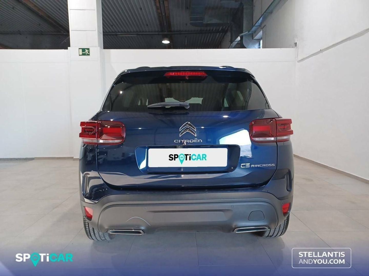 Citroen C5 Aircross BlueHDi 130 S&S Plus EAT8 96 kW (131 CV)
