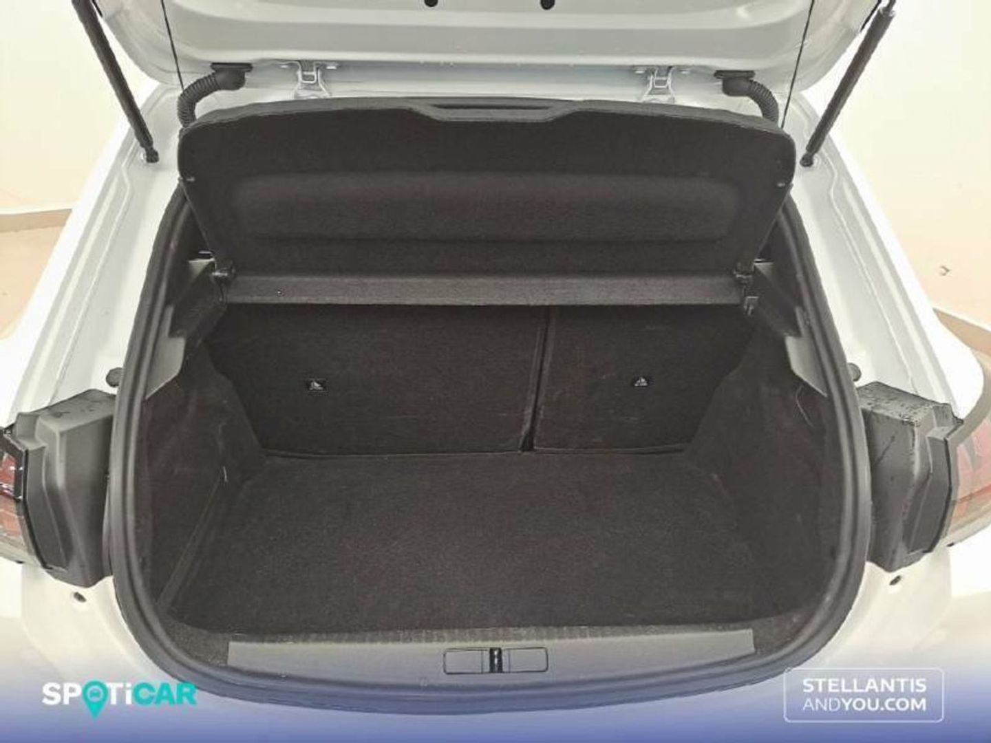 Peugeot 208 PureTech 100 Active Pack 75 kW (100 CV)