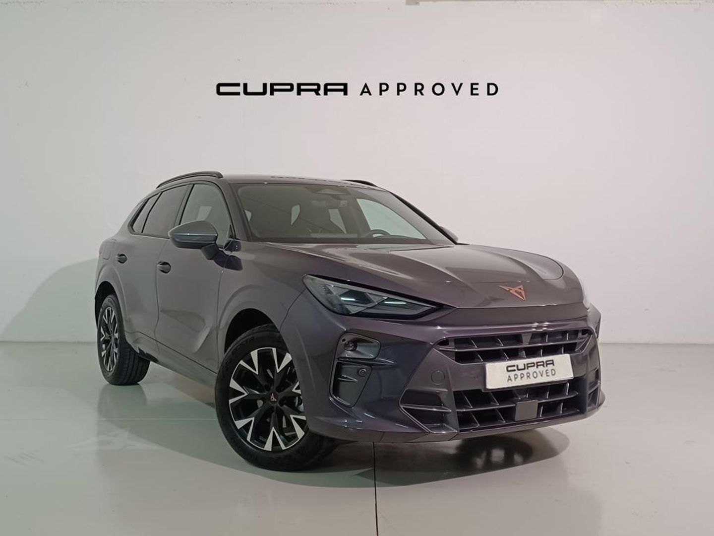 CUPRA Terramar 1.5 eTSI DSG 110 kW (150 CV) Violeta SUV