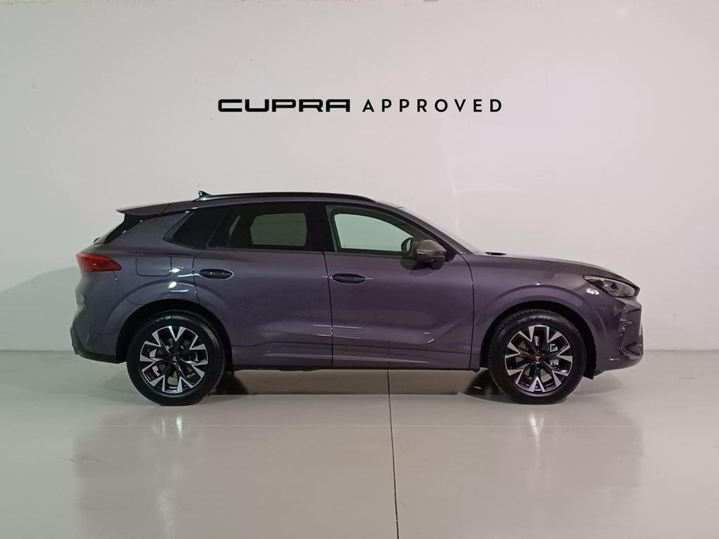 CUPRA Terramar 1.5 eTSI DSG 110 kW (150 CV)