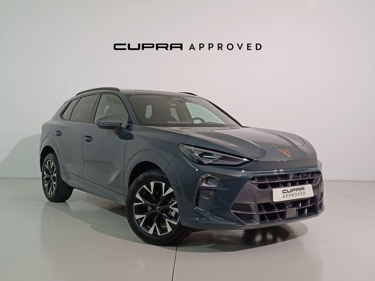 CUPRA Terramar 1.5 eTSI DSG 110 kW (150 CV) Azul SUV