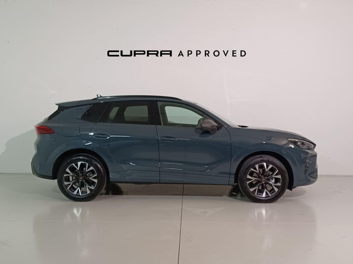 CUPRA Terramar 1.5 eTSI DSG 110 kW (150 CV)