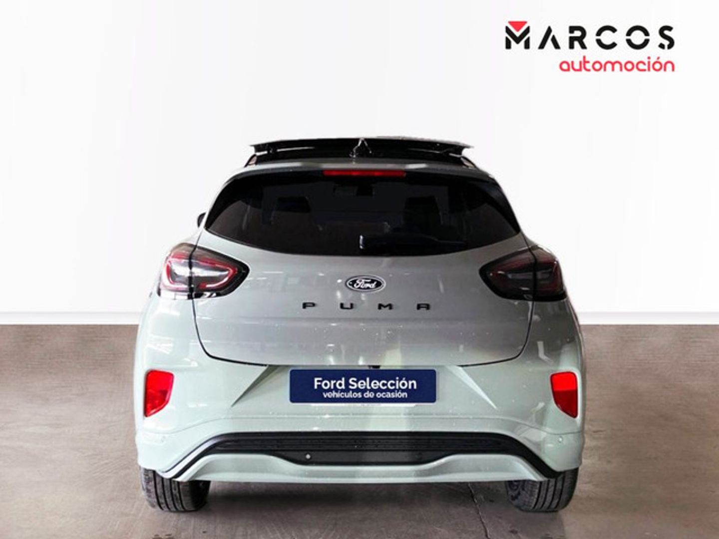 Ford Puma 1.0 EcoBoost MHEV Titanium Design 92 kW (125 CV)