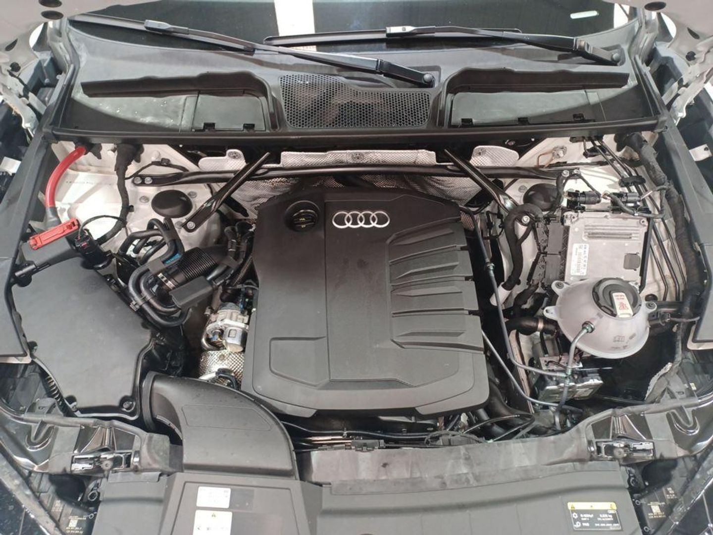 Audi Q5 Advanced 40 TDI quattro-ultra 150 kW (204 CV) S tronic