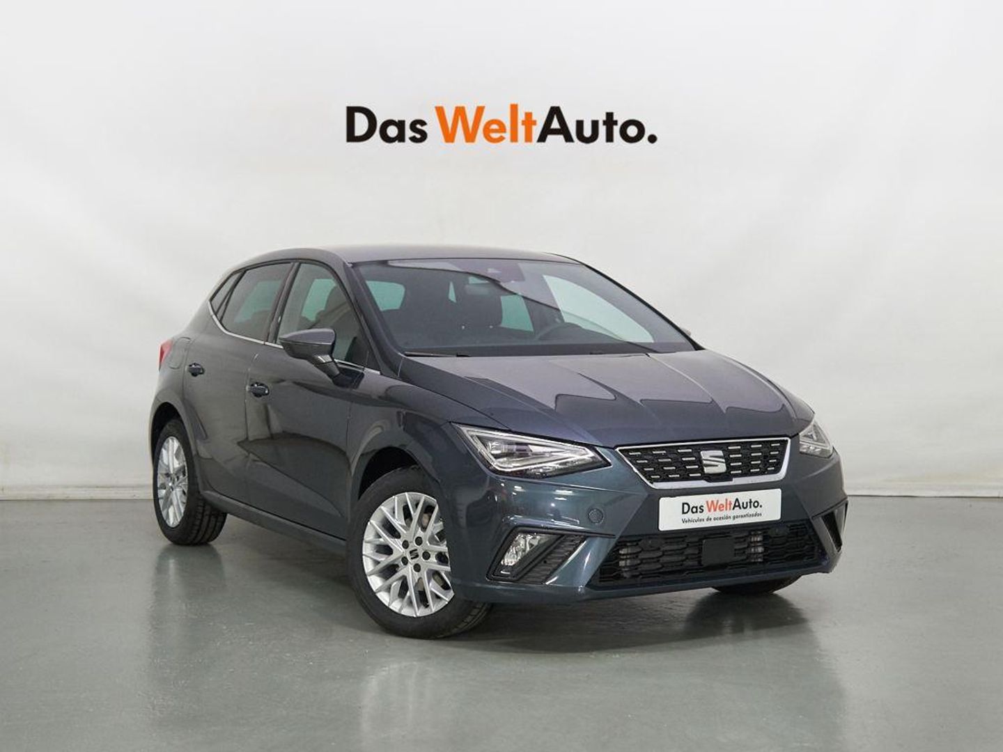 SEAT Ibiza 1.0 TSI Special Edition 85 kW (115 CV) Gris Sedan